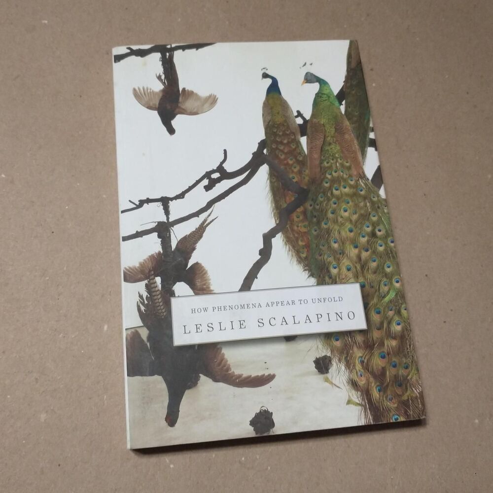 How Phenomena Appear To Unfold by Leslie Scalapino